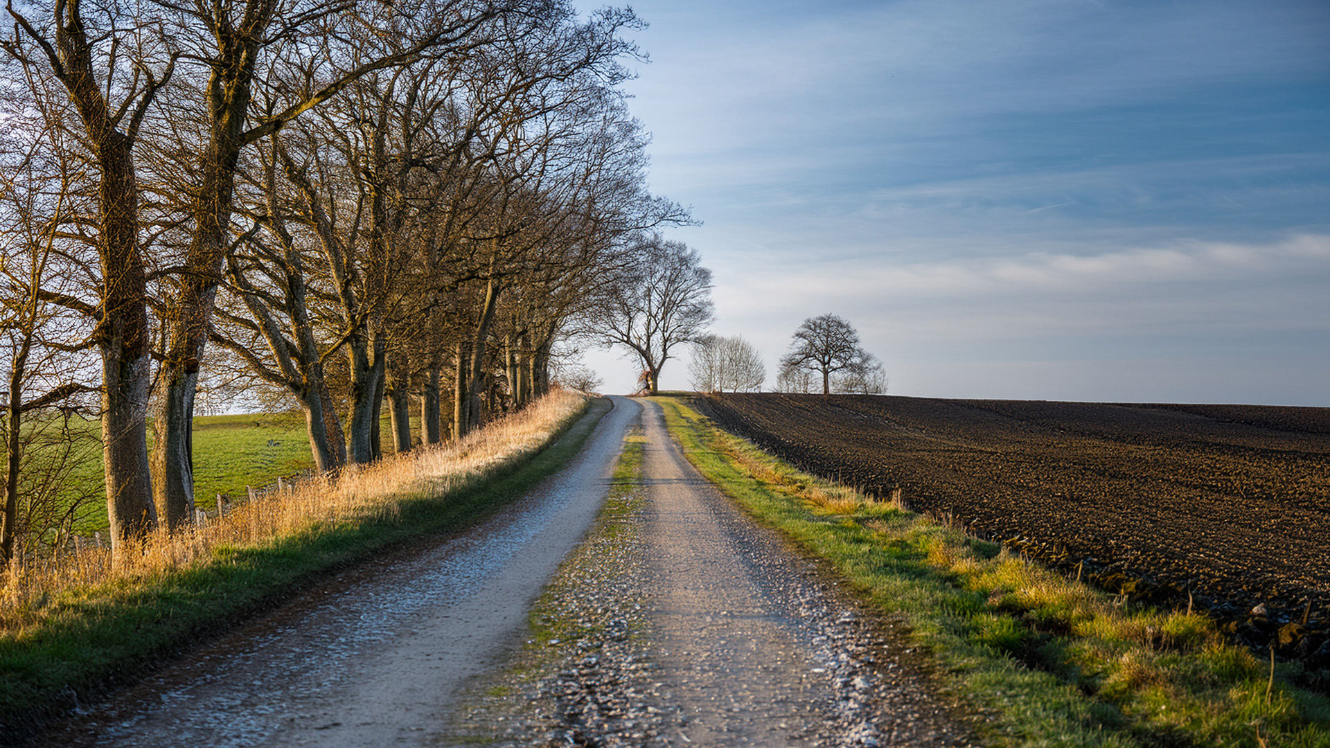 Tutti i pensieri che contano nascono camminando