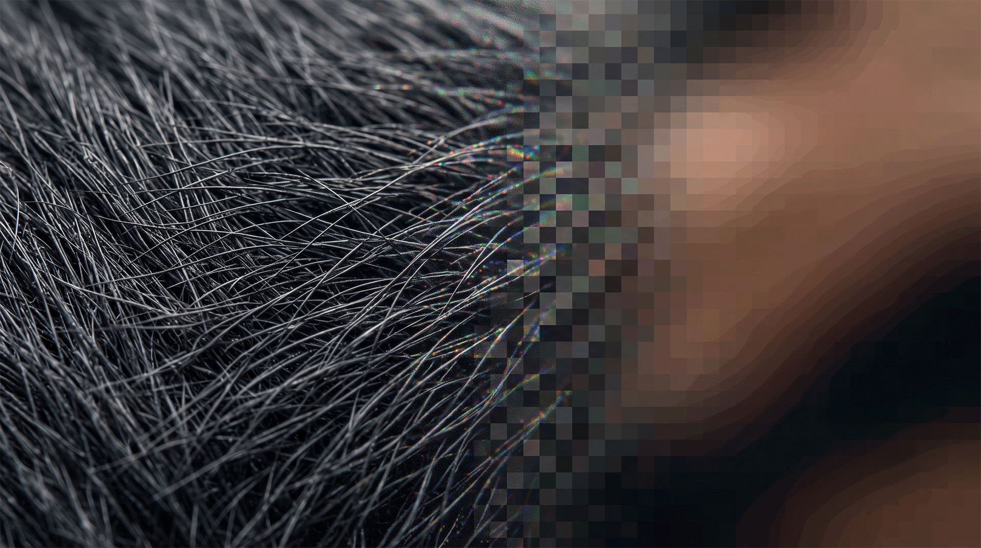 Il corpo che si prepara per il codec